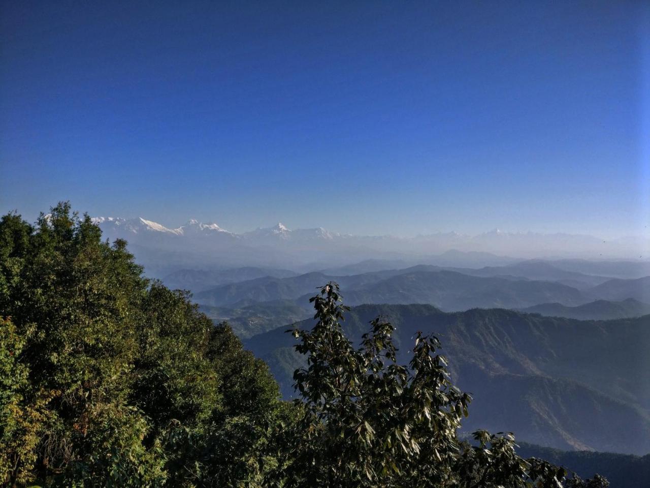 Simba Cafe & Lodge Binsar Exterior foto